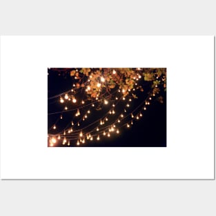 Lights draping off the Tree with a Black Sky in the background Posters and Art